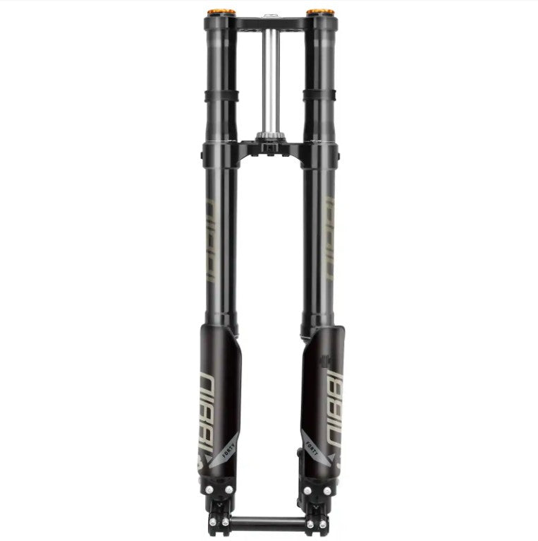 38mm Dual Spring Front Fork