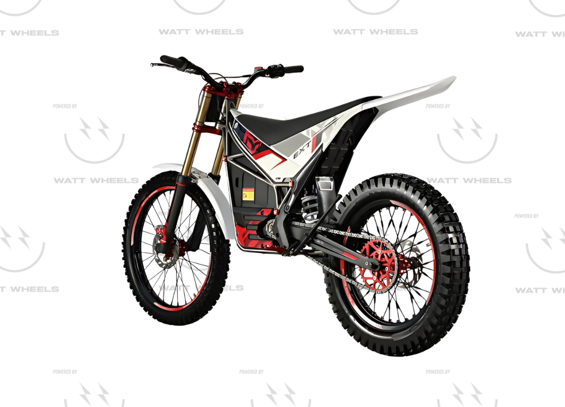 Arctic Leopard E-XT 500 Electric Off-Road Bike